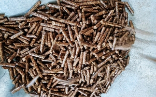 如何選擇鋸末顆粒機(jī)的顆粒燃料？講解！