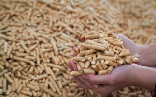 鋸末顆粒機(jī)生物質(zhì)顆粒，你需要知道的常識(shí)問(wèn)題