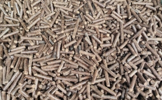 鋸末顆粒機(jī)加工的顆粒燃料價(jià)格主要受哪幾個(gè)方面的影響？