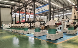 木屑顆粒機(jī)為什么選大不選??？