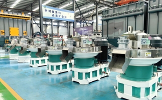 快來看看，木屑顆粒機如何將各種廢棄物料轉(zhuǎn)化為顆粒燃料的