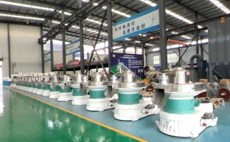 新手開顆粒廠，該選小型還是大型木屑顆粒機？